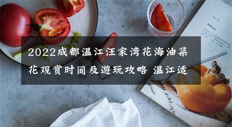 2022成都温江汪家湾花海油菜花观赏时间及游玩攻略 温江适合看花的地方