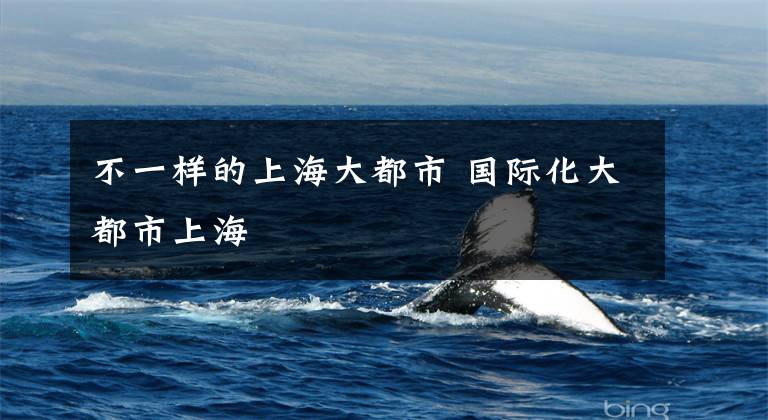 不一样的上海大都市 国际化大都市上海