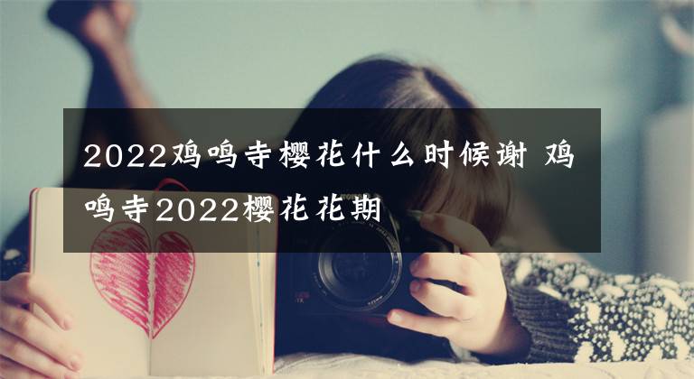 2022鸡鸣寺樱花什么时候谢 鸡鸣寺2022樱花花期