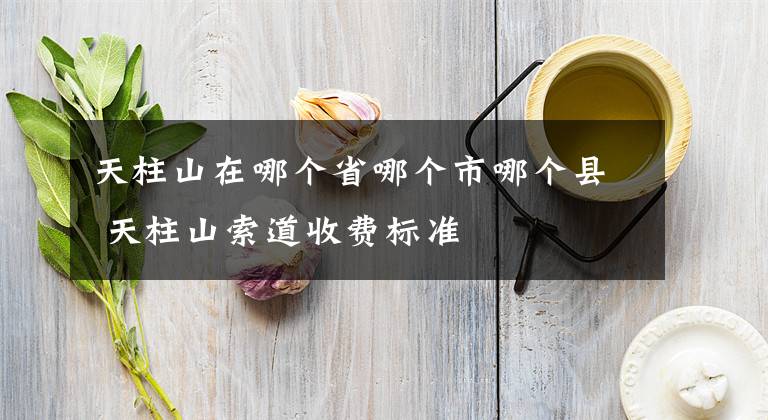 天柱山在哪个省哪个市哪个县 天柱山索道收费标准