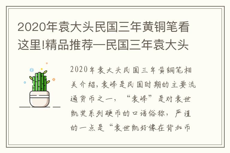 2020年袁大头民国三年黄铜笔看这里!精品推荐—民国三年袁大头