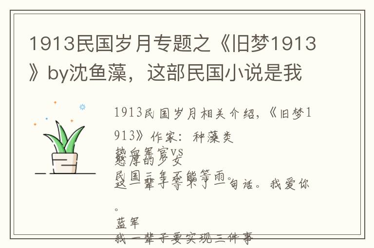 1913民国岁月专题之《旧梦1913》by沈鱼藻,这部民国小说是我唯一的意难平