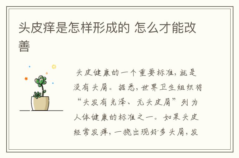 头皮痒是怎样形成的 怎么才能改善