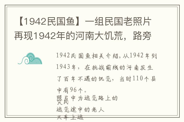 【1942民国鱼】一组民国老照片再现1942年的河南大饥荒,路旁树皮都被扒下吃光