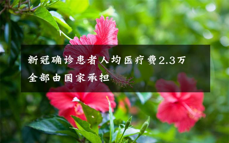 新冠确诊患者人均医疗费2.3万 全部由国家承担