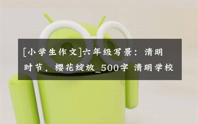 [小学生作文]六年级写景：清明时节，樱花绽放_500字 清明学校踏青的作文