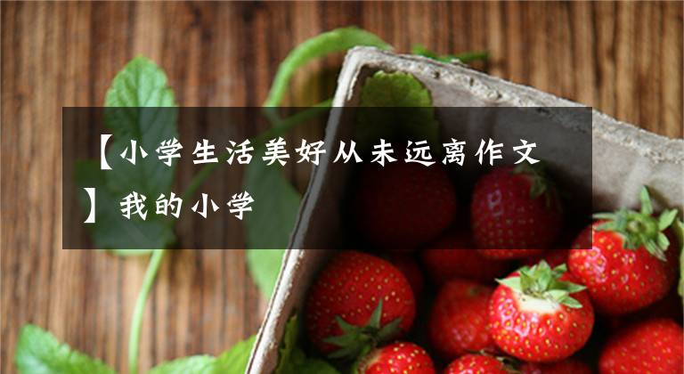 【小学生活美好从未远离作文】我的小学