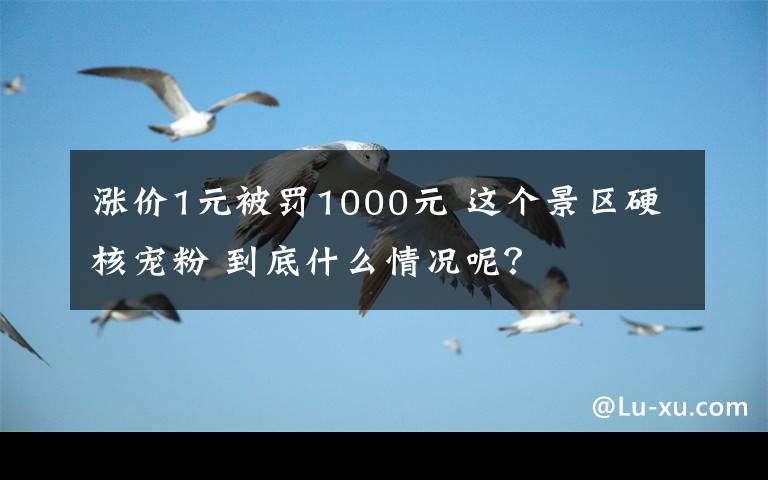涨价1元被罚1000元 这个景区硬核宠粉 到底什么情况呢?
