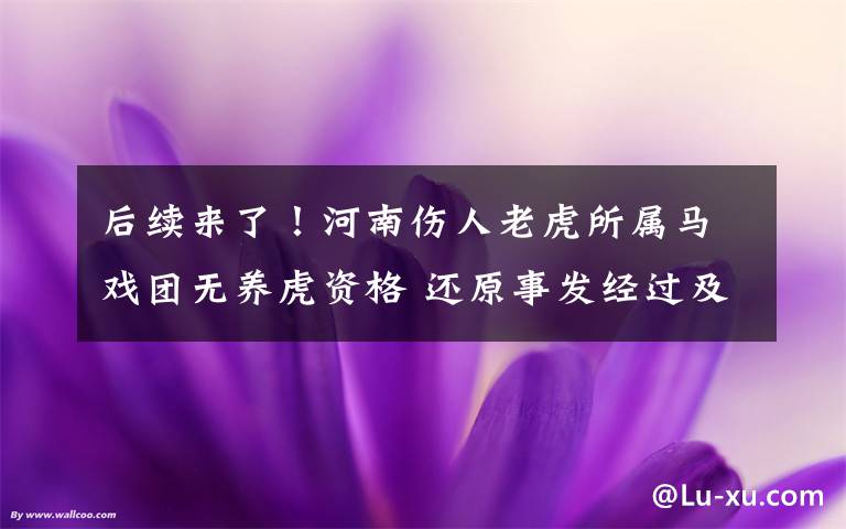 后续来了!河南伤人老虎所属马戏团无养虎资格 还原事发经过及背后真相!