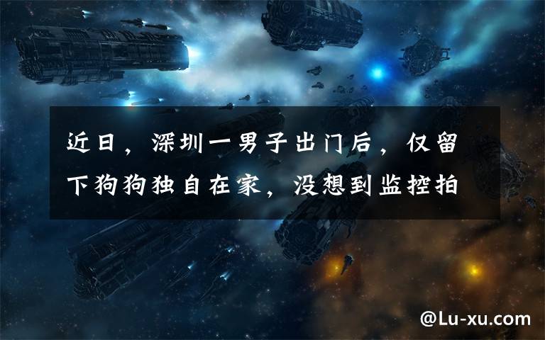 近日,深圳一男子出门后,仅留下狗狗独自在家,没想到监控拍下不可思议的一幕。