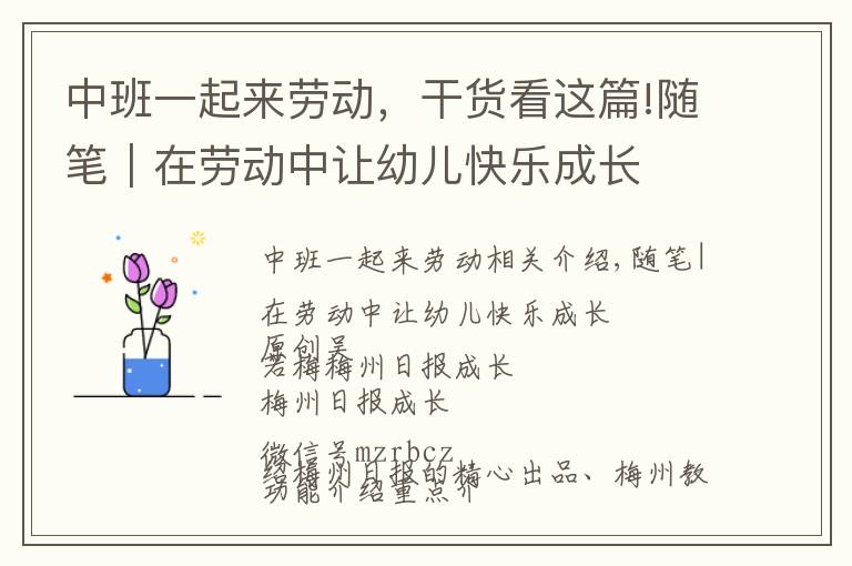 中班一起来劳动，干货看这篇!随笔｜在劳动中让幼儿快乐成长