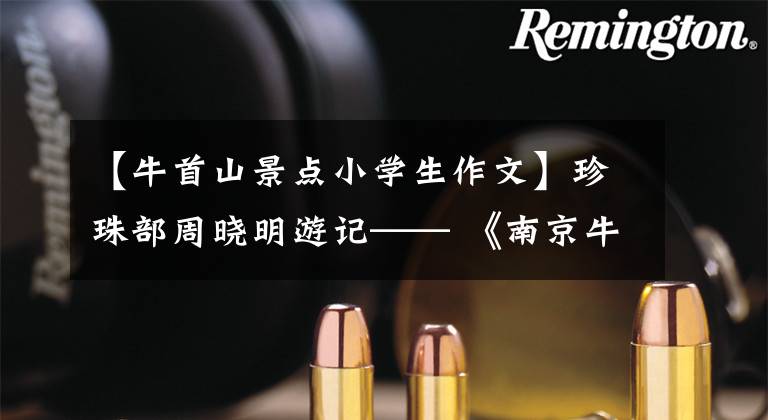 【牛首山景点小学生作文】珍珠部周晓明游记—— 《南京牛首山印象》
