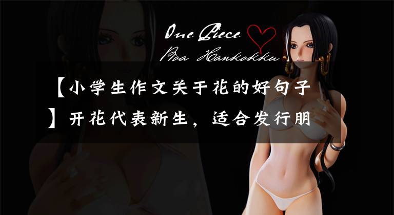 【小学生作文关于花的好句子】开花代表新生,适合发行朋友圈的10个文案