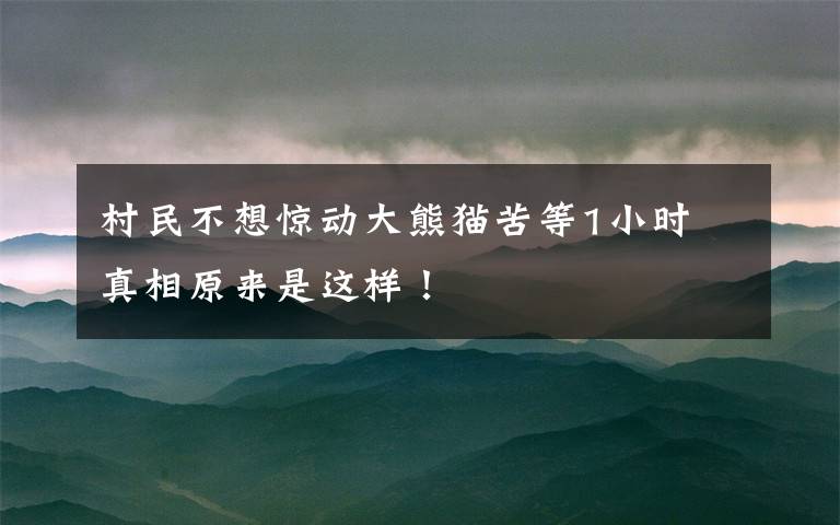 村民不想惊动大熊猫苦等1小时 真相原来是这样!