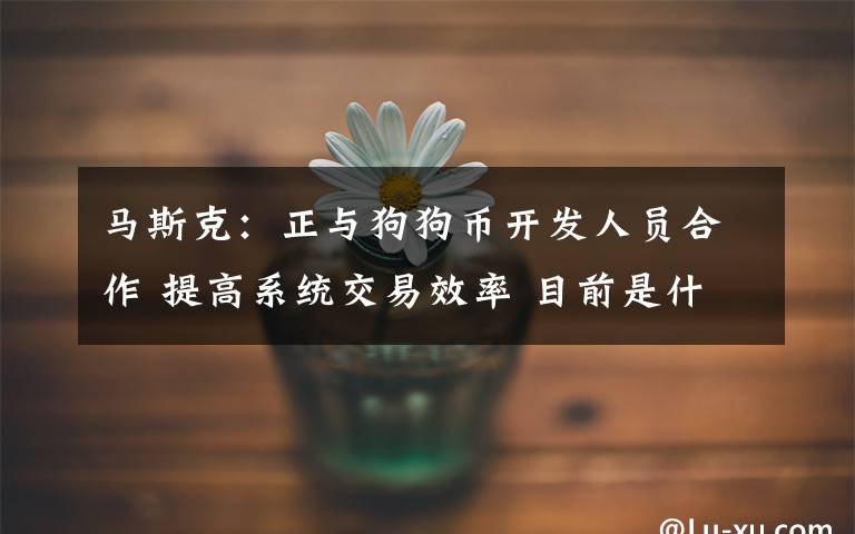 马斯克:正与狗狗币开发人员合作 提高系统交易效率 目前是什么情况?
