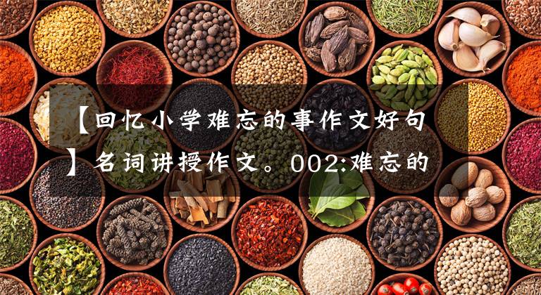 【回忆小学难忘的事作文好句】名词讲授作文。002:难忘的小学生活