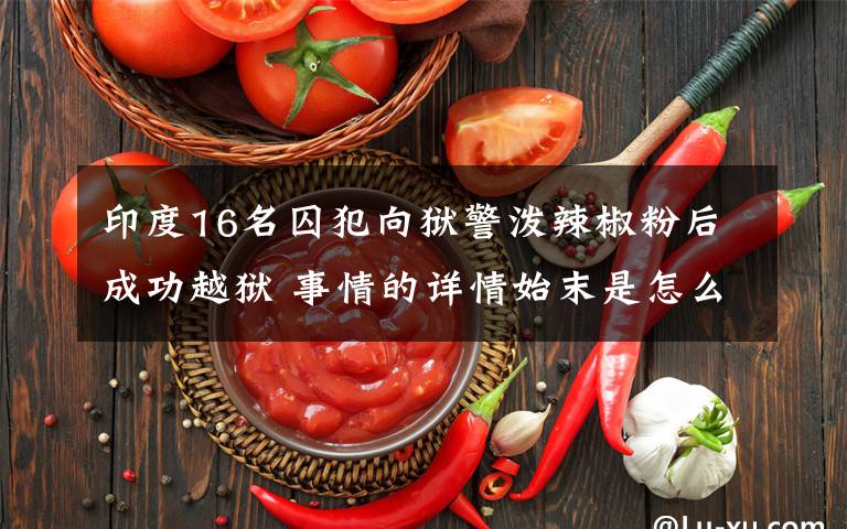 印度16名囚犯向狱警泼辣椒粉后成功越狱 事情的详情始末是怎么样了!