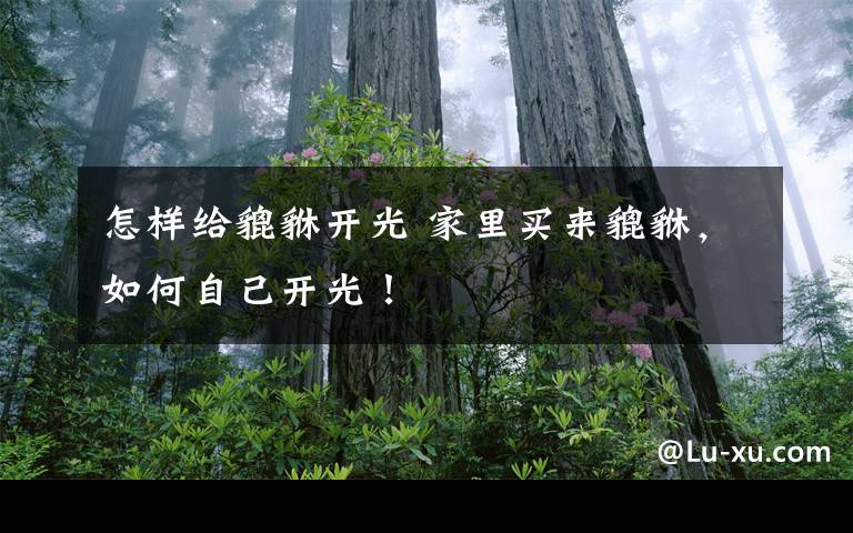 怎样给貔貅开光 家里买来貔貅，如何自己开光！