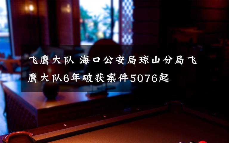 飞鹰大队 海口公安局琼山分局飞鹰大队6年破获案件5076起