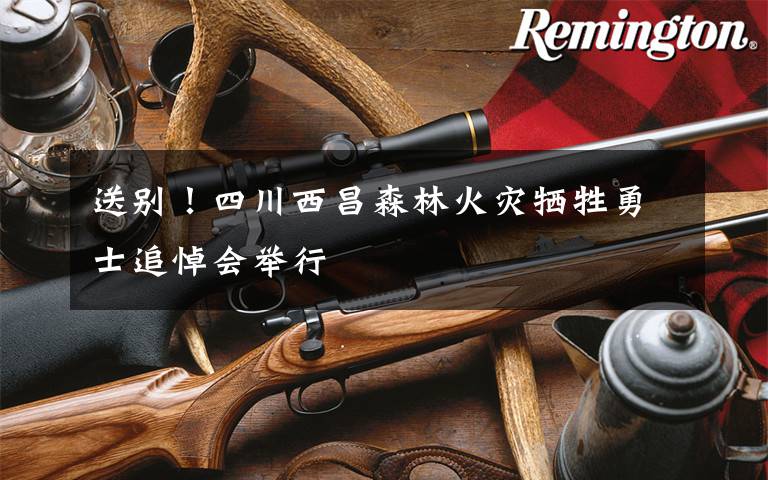 送别!四川西昌森林火灾牺牲勇士追悼会举行