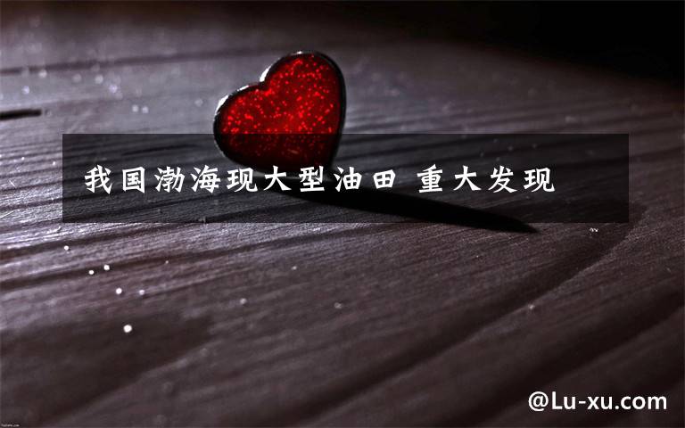 我国渤海现大型油田 重大发现