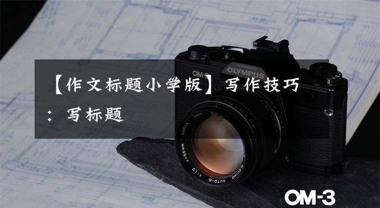 【作文标题小学版】写作技巧:写标题