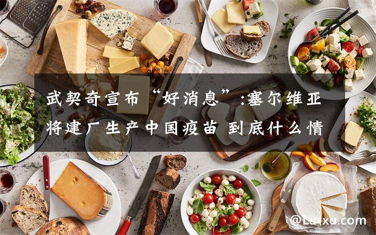 武契奇宣布“好消息”:塞尔维亚将建厂生产中国疫苗 到底什么情况呢?