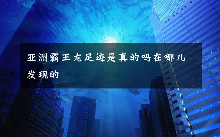 亚洲霸王龙足迹是真的吗在哪儿发现的