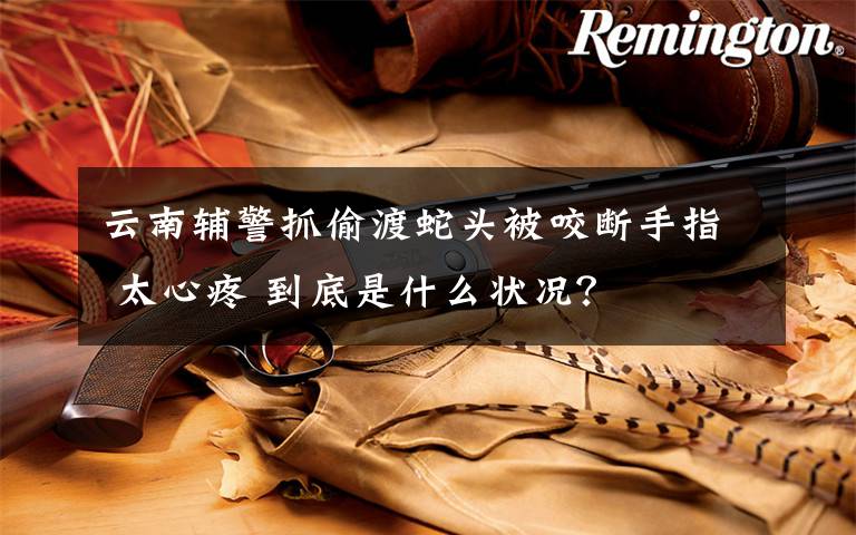 云南辅警抓偷渡蛇头被咬断手指 太心疼 到底是什么状况?