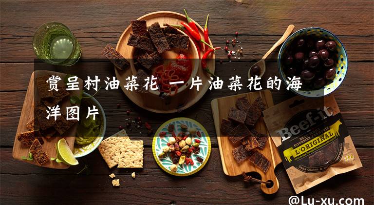 赏呈村油菜花 一片油菜花的海洋图片