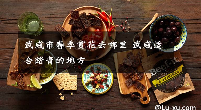 武威市春季赏花去哪里 武威适合踏青的地方