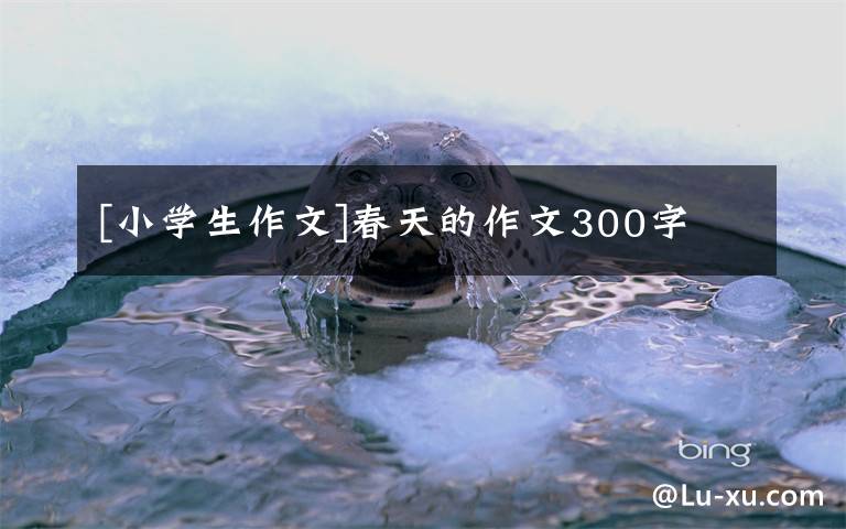 [小学生作文]春天的作文300字