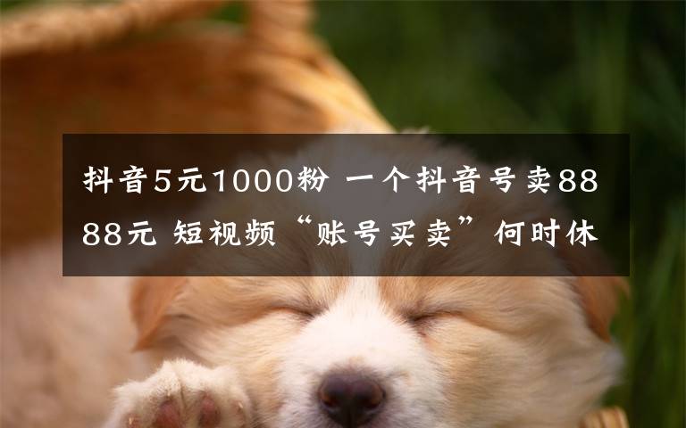 抖音5元1000粉 一个抖音号卖8888元 短视频“账号买卖”何时休?