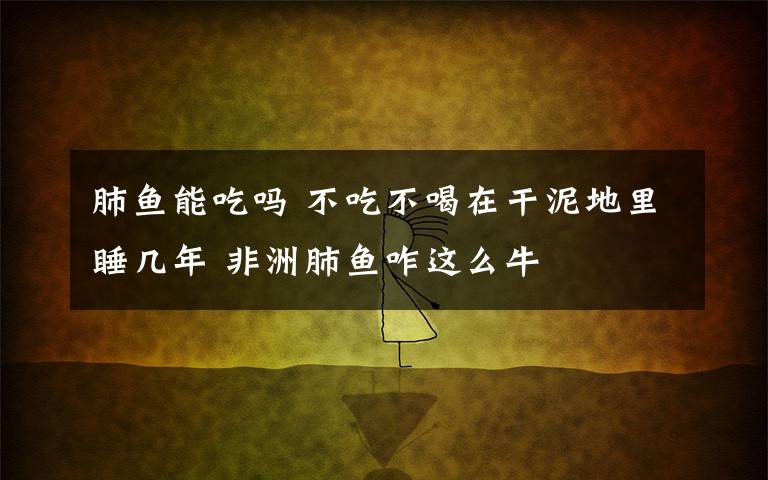 肺鱼能吃吗 不吃不喝在干泥地里睡几年 非洲肺鱼咋这么牛
