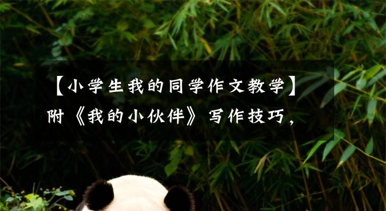【小学生我的同学作文教学】附《我的小伙伴》写作技巧,4篇优秀范文