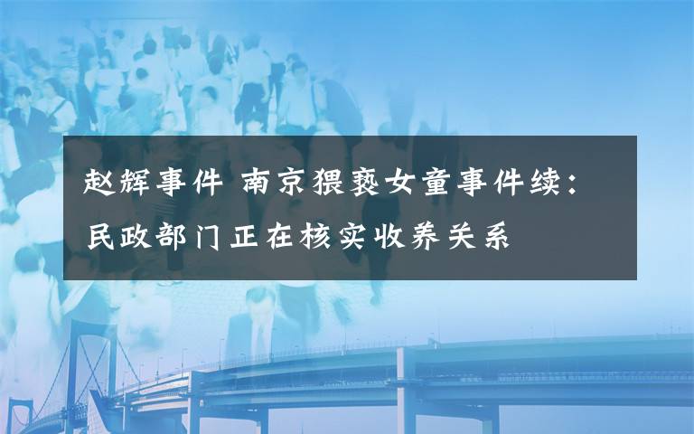 赵辉事件 南京猥亵女童事件续：民政部门正在核实收养关系