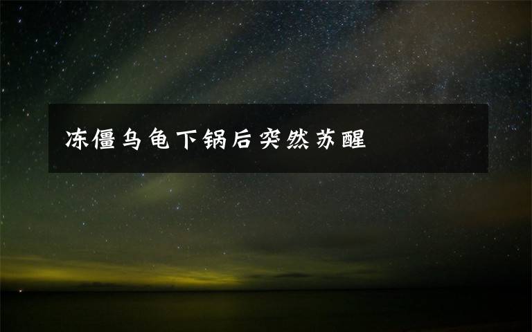 冻僵乌龟下锅后突然苏醒