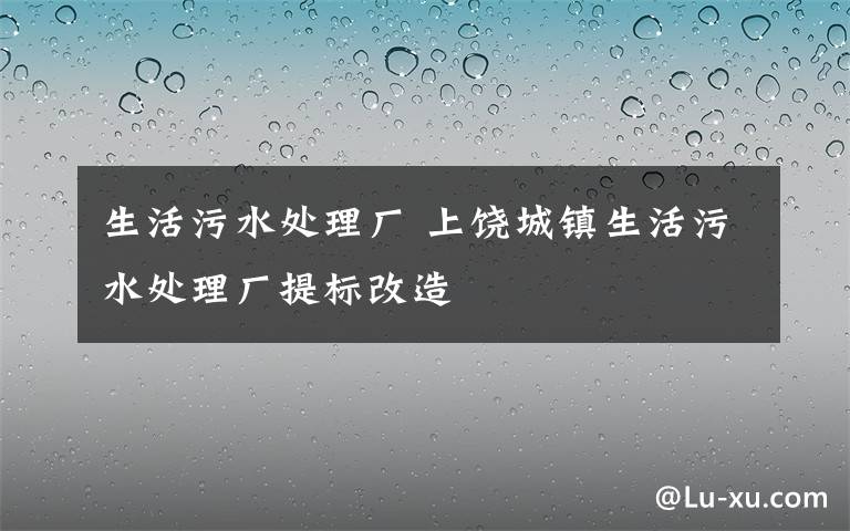 生活污水处理厂 上饶城镇生活污水处理厂提标改造
