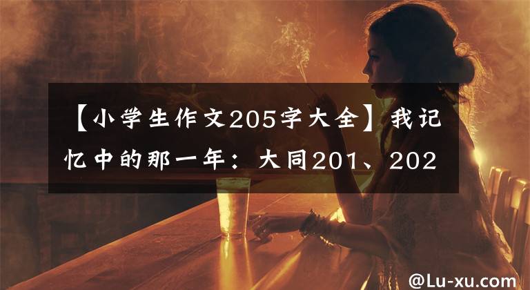 【小学生作文205字大全】我记忆中的那一年：大同201、202、205，以及黎明游乐园。