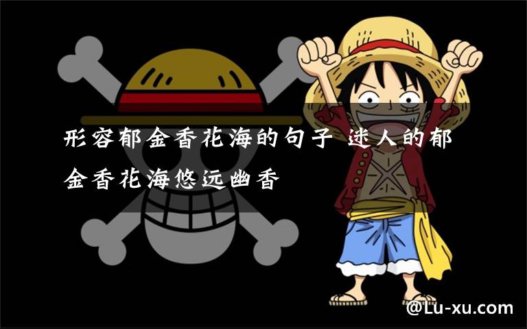 形容郁金香花海的句子 迷人的郁金香花海悠远幽香