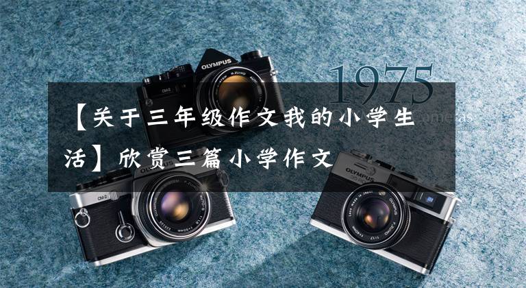 【关于三年级作文我的小学生活】欣赏三篇小学作文