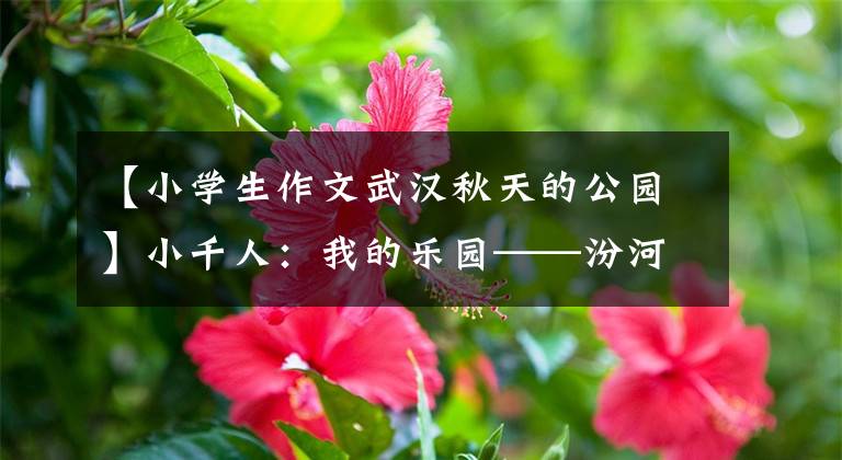 【小学生作文武汉秋天的公园】小千人：我的乐园——汾河公园(小学生作文)
