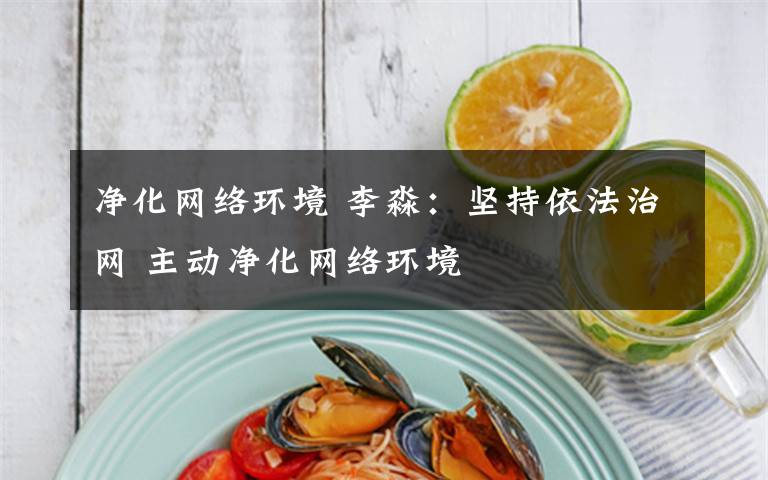 净化网络环境 李淼:坚持依法治网 主动净化网络环境