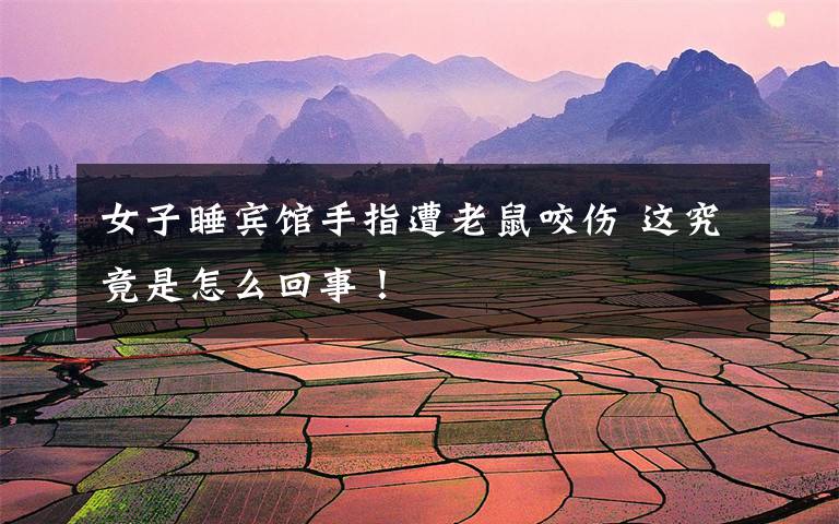 女子睡宾馆手指遭老鼠咬伤 这究竟是怎么回事!