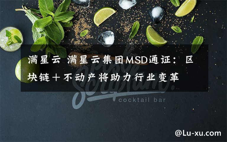 满星云 满星云集团MSD通证：区块链＋不动产将助力行业变革