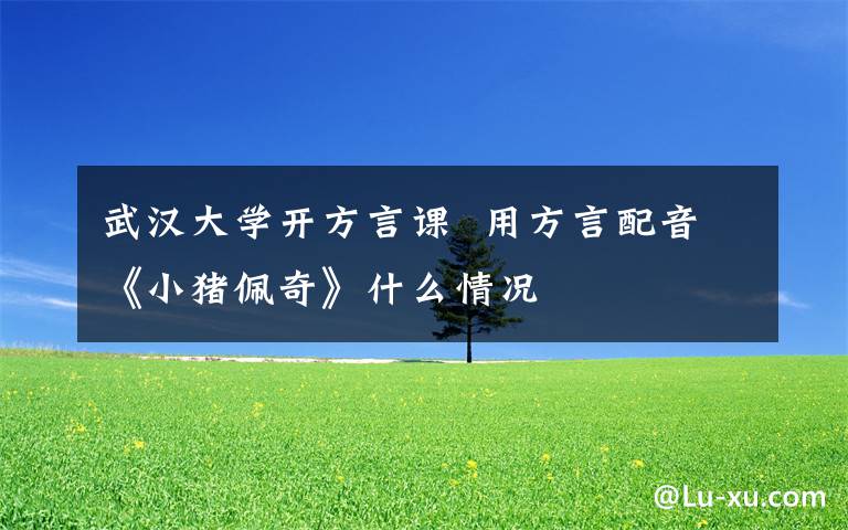 武汉大学开方言课  用方言配音《小猪佩奇》什么情况