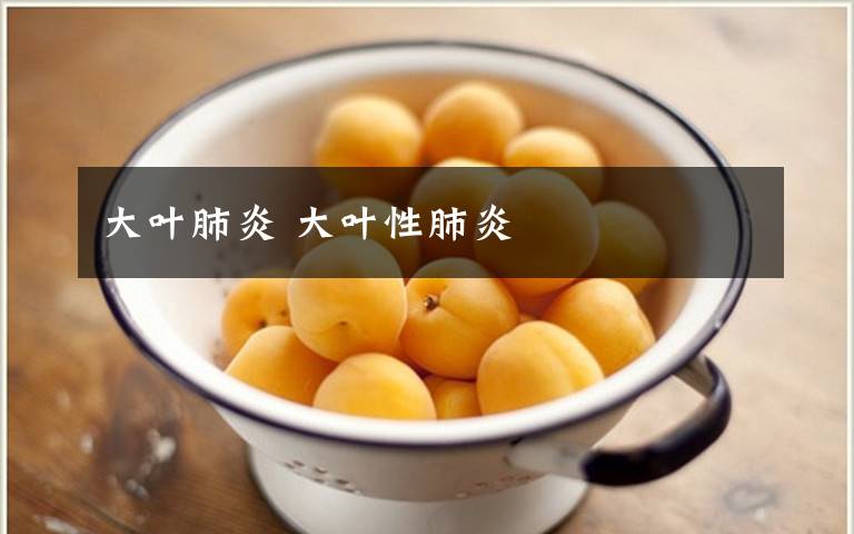 大叶肺炎 大叶性肺炎