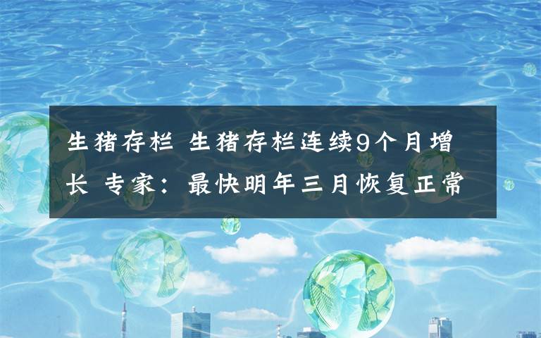 生猪存栏 生猪存栏连续9个月增长 专家：最快明年三月恢复正常