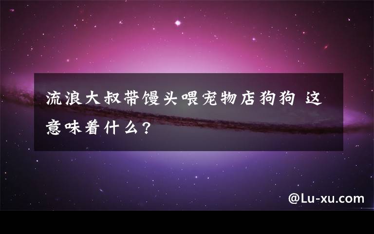 流浪大叔带馒头喂宠物店狗狗 这意味着什么?