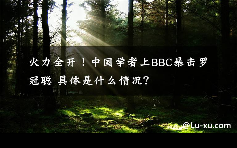 火力全开!中国学者上BBC暴击罗冠聪 具体是什么情况?